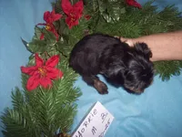 processed/eafa3d18-f928-4bbb-b1ba-7c2d94a66e89/listing/4e77eaf9-6325-48c5-9098-569a06e5cc56/1d659a97-f060-4cf3-ae0b-bdd17696eba0