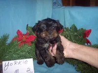 processed/eafa3d18-f928-4bbb-b1ba-7c2d94a66e89/listing/4e77eaf9-6325-48c5-9098-569a06e5cc56/81b1f2ef-6c65-42b7-b71c-c899edf87988