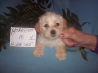 processed/eafa3d18-f928-4bbb-b1ba-7c2d94a66e89/listing/522be023-035e-42bf-b0d4-0c3bdaf9b5ce/1740bbbd-150b-4e01-89cc-fcd4d3153118