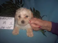 processed/eafa3d18-f928-4bbb-b1ba-7c2d94a66e89/listing/522be023-035e-42bf-b0d4-0c3bdaf9b5ce/8f479890-44e5-4cd7-b1b6-ef1d6440c20e