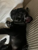 processed/eb0461f1-069c-4dd7-852d-2ede3bee319c/listing/725e3bda-35bd-4712-929e-a67a86a59be0/4df13552-2fe2-4e87-ab1c-679b1db3d6c5