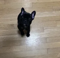 processed/eb0461f1-069c-4dd7-852d-2ede3bee319c/listing/725e3bda-35bd-4712-929e-a67a86a59be0/944e8056-1d3b-417f-a80b-027f15468d71