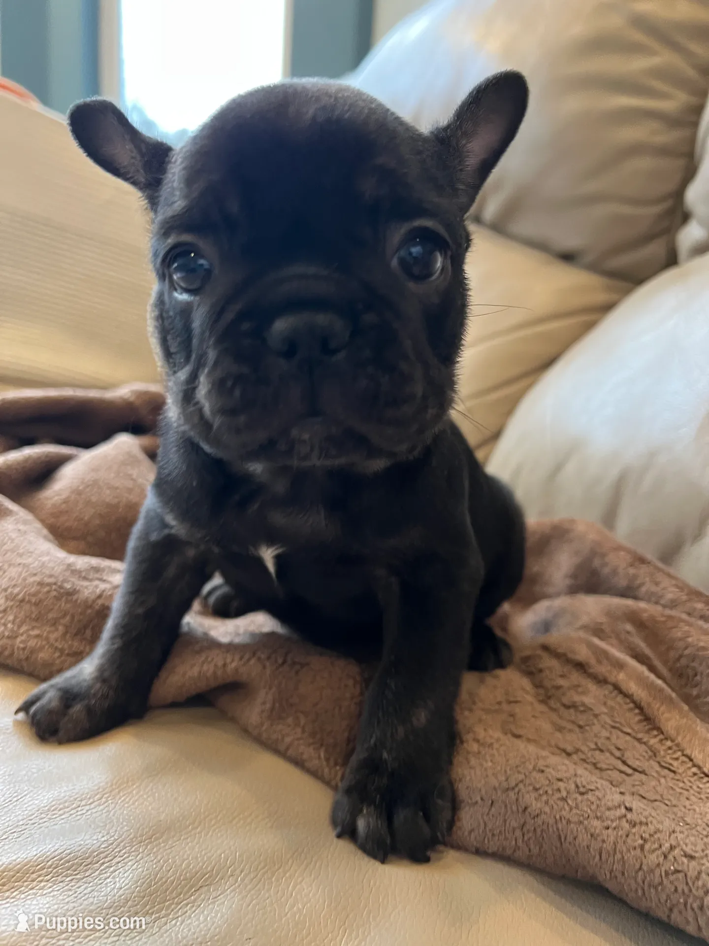 processed/eb0461f1-069c-4dd7-852d-2ede3bee319c/listing/725e3bda-35bd-4712-929e-a67a86a59be0/a815136c-acd2-4f80-8b0b-5976b3beb736