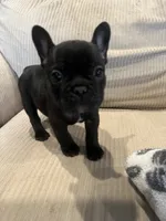 processed/eb0461f1-069c-4dd7-852d-2ede3bee319c/listing/865c6529-5c9e-4e2a-90c0-68fa4b0ba0c6/1ce90995-6e73-4a7a-8902-9d4dd1b681ff