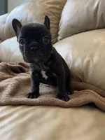 processed/eb0461f1-069c-4dd7-852d-2ede3bee319c/listing/865c6529-5c9e-4e2a-90c0-68fa4b0ba0c6/63e533b0-5e3c-4b6d-98c9-ebdc1498e81f