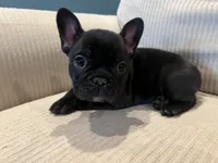 processed/eb0461f1-069c-4dd7-852d-2ede3bee319c/listing/865c6529-5c9e-4e2a-90c0-68fa4b0ba0c6/7c0c0371-cf1b-4ecc-958b-d6e96267b354