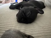 processed/eb0461f1-069c-4dd7-852d-2ede3bee319c/listing/865c6529-5c9e-4e2a-90c0-68fa4b0ba0c6/8f4a7831-a357-4a0a-958d-f2961ea8ff57