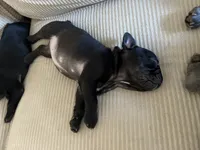 processed/eb0461f1-069c-4dd7-852d-2ede3bee319c/listing/865c6529-5c9e-4e2a-90c0-68fa4b0ba0c6/c23abd9f-4c3f-4652-a45b-f4bc13cced3c