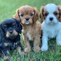 processed/eb082461-8209-440f-988a-04b2391141ed/facility/3bf64231-0b54-4481-a926-49955997faf5