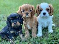 processed/eb082461-8209-440f-988a-04b2391141ed/facility/3bf64231-0b54-4481-a926-49955997faf5