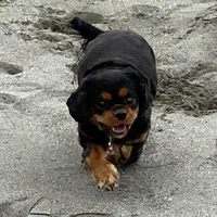 processed/eb082461-8209-440f-988a-04b2391141ed/facility/84a7602f-917e-4e27-8179-0f85fe4fcd07