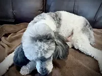 processed/eb082461-8209-440f-988a-04b2391141ed/listing/289b4aab-2a8d-4361-886c-2e54fc7be038/60c3b086-5ab3-4bab-ad69-f90463691cae