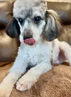 processed/eb082461-8209-440f-988a-04b2391141ed/listing/289b4aab-2a8d-4361-886c-2e54fc7be038/bf400329-16ae-494f-8406-19c984f10e6e