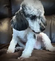 processed/eb082461-8209-440f-988a-04b2391141ed/listing/289b4aab-2a8d-4361-886c-2e54fc7be038/d3dfac76-21c9-4a15-9094-72d4fd2baf48