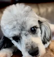 processed/eb082461-8209-440f-988a-04b2391141ed/listing/289b4aab-2a8d-4361-886c-2e54fc7be038/dcb1b873-79c8-4d07-9506-89a07e47968a