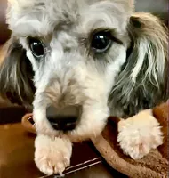 processed/eb082461-8209-440f-988a-04b2391141ed/listing/289b4aab-2a8d-4361-886c-2e54fc7be038/f72bfa41-9337-4b35-a832-1735c697d5f2