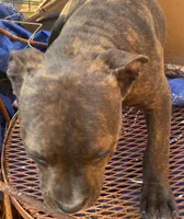 processed/eb0b1cba-c5ee-4f14-ba5c-b44b4786033f/facility/199a343e-730d-4a2e-ae5a-8d31d25d3f6c