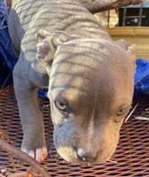 processed/eb0b1cba-c5ee-4f14-ba5c-b44b4786033f/facility/51232538-19e5-4b30-b88e-c7e4423ec0e7