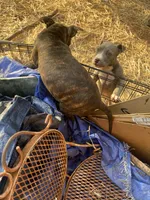 processed/eb0b1cba-c5ee-4f14-ba5c-b44b4786033f/facility/876e7049-7c1a-46b1-80a4-c2a916f27500