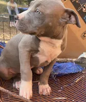 processed/eb0b1cba-c5ee-4f14-ba5c-b44b4786033f/facility/a85698cb-28f9-48f4-b8b3-58aeed9b1017