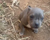 processed/eb0b1cba-c5ee-4f14-ba5c-b44b4786033f/listing/1a2e94a5-fce0-4b3c-b1cb-ce936ec2e813/6bb2123c-ea2f-4332-ac2d-fc6aed352303