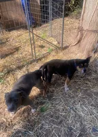 processed/eb0b1cba-c5ee-4f14-ba5c-b44b4786033f/listing/1a2e94a5-fce0-4b3c-b1cb-ce936ec2e813/fc16c874-5492-4f41-825a-f4138e0af191