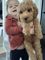 processed/eb0b4552-b02c-442d-bad0-778f253ce23d/facility/2d73c630-dcfd-4972-9519-03c2e711afe6