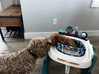 processed/eb0b4552-b02c-442d-bad0-778f253ce23d/facility/bc6b7b90-c74a-4e2e-9dbf-92752bcca4c9