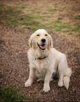 processed/eb13108f-0823-455f-b2a4-4088d644030d/facility/292763b9-848b-4db8-8091-5b3d7a6167f9