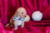 processed/eb13108f-0823-455f-b2a4-4088d644030d/facility/2feb6530-a260-4b74-899c-baf7e7f065af