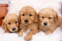 processed/eb13108f-0823-455f-b2a4-4088d644030d/facility/54fad947-aaf4-4ffb-bac5-4422de0f8901