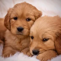 processed/eb13108f-0823-455f-b2a4-4088d644030d/facility/693e8429-0d38-4896-8c39-6f17c702e4c3