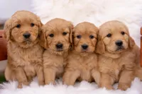 processed/eb13108f-0823-455f-b2a4-4088d644030d/facility/cfb64d6b-52c0-4604-abfd-97ed977009c9