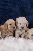 processed/eb13108f-0823-455f-b2a4-4088d644030d/facility/e1cb6fbd-eb85-4193-997c-ba24ecca249b