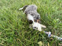 processed/eb280c21-e279-43b4-af5f-5985199ecfb9/listing/04f69c7c-8e7d-4f57-9a53-3ca2d2fc3314/4e848b66-c3f4-4a6e-95df-6d919f111af3