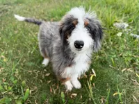 processed/eb280c21-e279-43b4-af5f-5985199ecfb9/listing/04f69c7c-8e7d-4f57-9a53-3ca2d2fc3314/95db9e7e-8c94-4d88-ae0e-4fa0593569d8