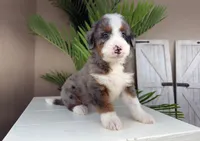 processed/eb280c21-e279-43b4-af5f-5985199ecfb9/listing/04f69c7c-8e7d-4f57-9a53-3ca2d2fc3314/bb28d994-cf28-48a2-b36f-0ffab7b14449