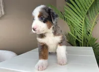 processed/eb280c21-e279-43b4-af5f-5985199ecfb9/listing/04f69c7c-8e7d-4f57-9a53-3ca2d2fc3314/f474f3ee-37a1-4fe7-8f3f-8bc41631549c