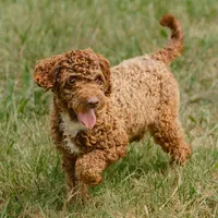 processed/eb280c21-e279-43b4-af5f-5985199ecfb9/listing/1c16dca2-a5b3-4d10-911e-7d9ec0e39c0a/7c453fb1-e736-41c3-8a4c-d65b76c0e2b1