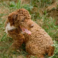 processed/eb280c21-e279-43b4-af5f-5985199ecfb9/listing/1c16dca2-a5b3-4d10-911e-7d9ec0e39c0a/ca2f8c05-80a4-4852-af99-079ae0de847f