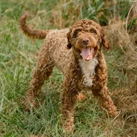 processed/eb280c21-e279-43b4-af5f-5985199ecfb9/listing/1c16dca2-a5b3-4d10-911e-7d9ec0e39c0a/fcd84250-33a7-47f3-9747-518280e6e99b