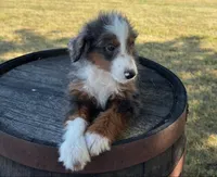 processed/eb280c21-e279-43b4-af5f-5985199ecfb9/listing/35e7b624-c4cd-4fb0-97cd-c0004f97ea98/45b8b07c-1c3e-413b-8ee3-a1208ece445a