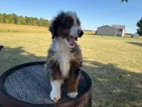 processed/eb280c21-e279-43b4-af5f-5985199ecfb9/listing/35e7b624-c4cd-4fb0-97cd-c0004f97ea98/47b879a4-a9c0-4a3f-b7a6-fdb9db1ba343