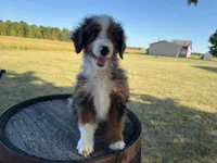 processed/eb280c21-e279-43b4-af5f-5985199ecfb9/listing/35e7b624-c4cd-4fb0-97cd-c0004f97ea98/c73522d8-53fc-48c6-a2cc-a346ada7ae65