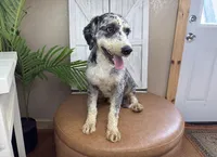 processed/eb280c21-e279-43b4-af5f-5985199ecfb9/listing/42f70ae7-79c8-4e94-b662-bf1b4c3a4c8b/746f464a-a98f-4aad-ae8a-1b4a04534a28