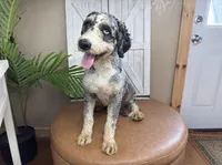 processed/eb280c21-e279-43b4-af5f-5985199ecfb9/listing/42f70ae7-79c8-4e94-b662-bf1b4c3a4c8b/752d7ebd-44af-4d7a-8c8b-2776a3903080