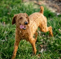 processed/eb280c21-e279-43b4-af5f-5985199ecfb9/listing/4b0e3bb7-f489-42a8-ab6e-90726209b4fc/784c1e9a-59fe-4604-b9a6-137a630fb40d