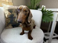 processed/eb280c21-e279-43b4-af5f-5985199ecfb9/listing/eccc5e2e-b0e9-41fc-837f-885fe10aff0c/0938a1ed-6fa5-4304-932b-8fab6dec12ad