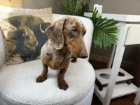 processed/eb280c21-e279-43b4-af5f-5985199ecfb9/listing/eccc5e2e-b0e9-41fc-837f-885fe10aff0c/5eaf9da0-6125-473f-8081-2a089b43307e