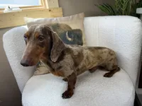 processed/eb280c21-e279-43b4-af5f-5985199ecfb9/listing/eccc5e2e-b0e9-41fc-837f-885fe10aff0c/6dfaa882-9157-4a8a-a090-998da3daf875